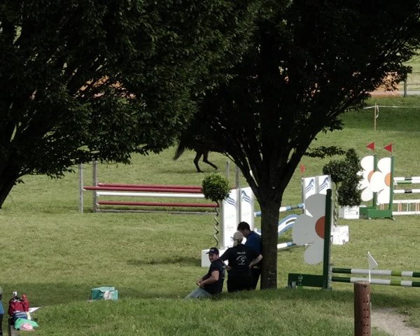 Springkonkurrenz Aadorf 2021