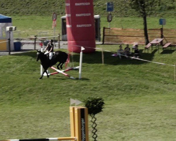 Springkonkurrenz Aadorf 2021