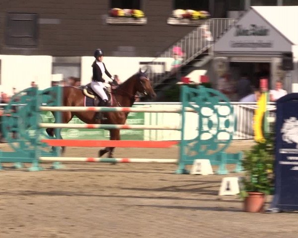 Reitturnier Datteln 2021