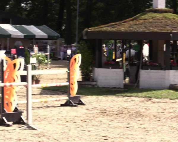 Reitturnier Datteln 2021