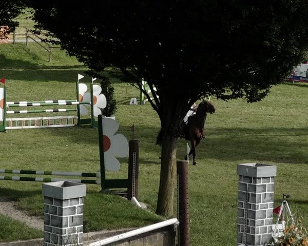 Springkonkurrenz Aadorf 2021