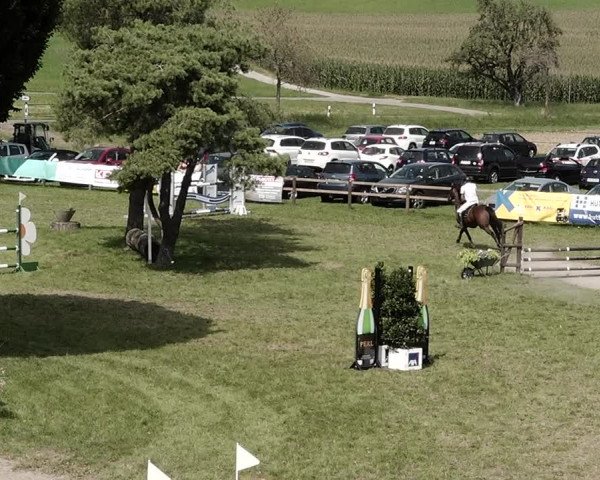 Springkonkurrenz Aadorf 2021