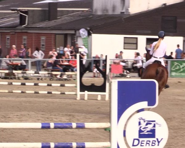 Reitturnier Datteln 2021