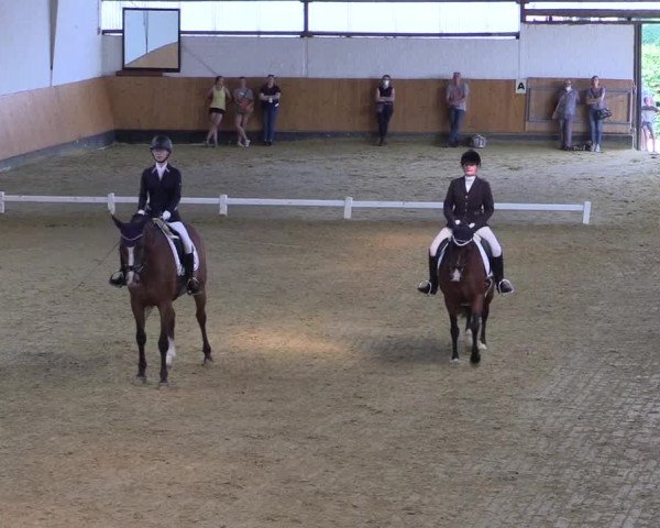 Reitturnier Datteln 2021