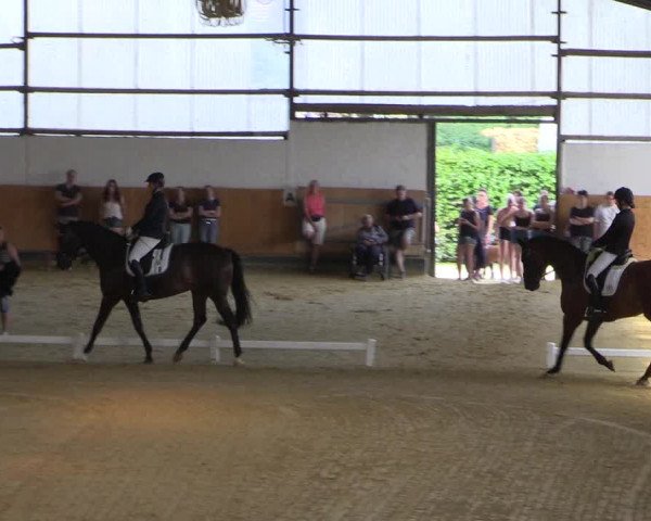 Reitturnier Datteln 2021