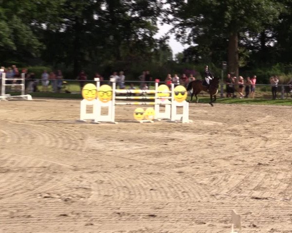 Reitturnier Datteln 2021