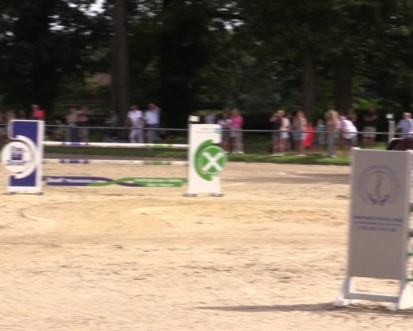 Reitturnier Datteln 2021