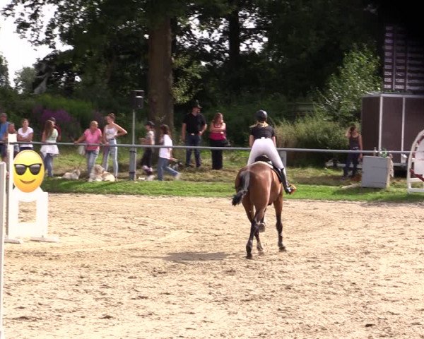 Reitturnier Datteln 2021