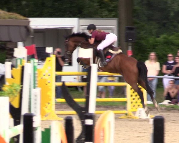 Reitturnier Datteln 2021