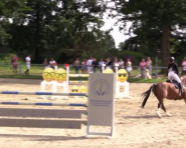 Reitturnier Datteln 2021