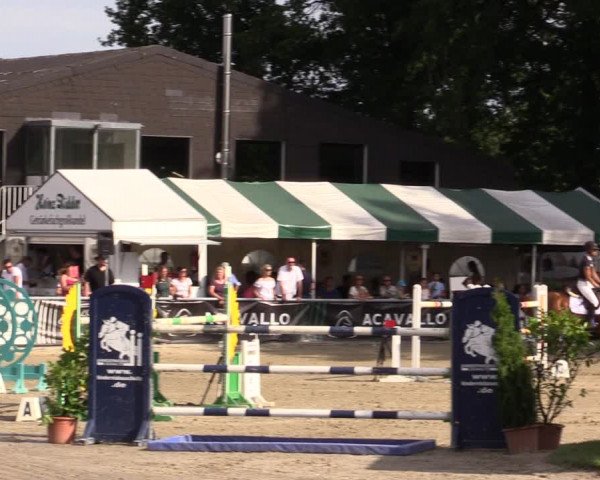 Reitturnier Datteln 2021