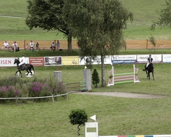 Springkonkurrenz Aadorf 2021