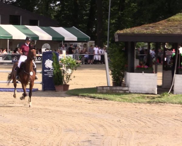 Reitturnier Datteln 2021