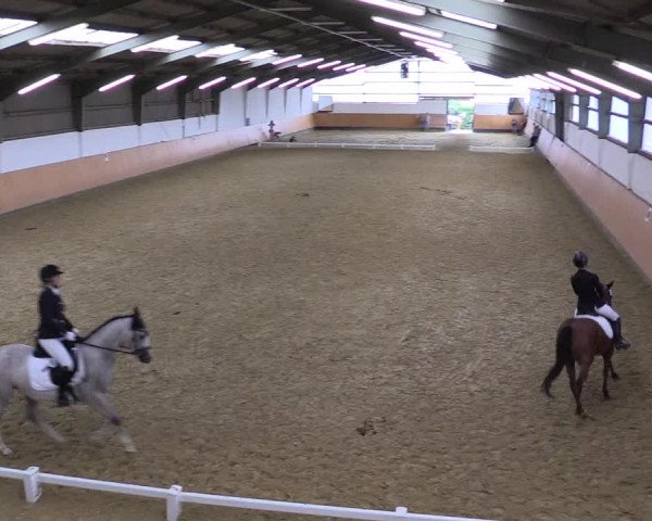 Reitturnier Datteln 2021