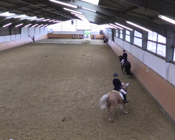 Reitturnier Datteln 2021
