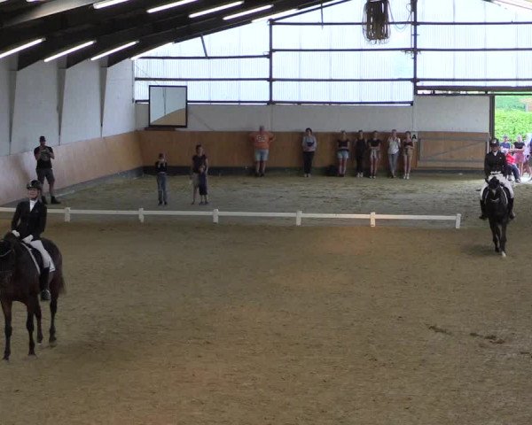 Reitturnier Datteln 2021