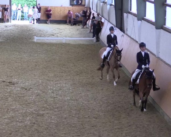 Reitturnier Datteln 2021