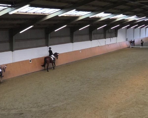Reitturnier Datteln 2021