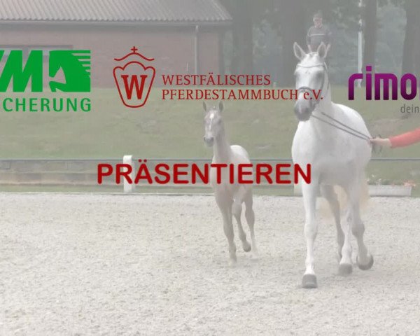 LVM Sichtung Münster Handorf