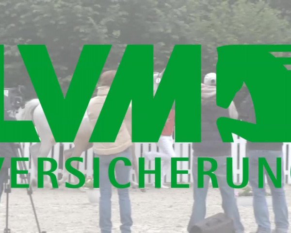 Stuten- und Fohlenschau Brakel 2017