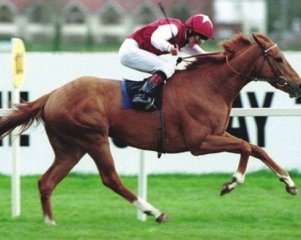 stallion Exaltation xx (Thoroughbred, 1998, from Rainbow Quest xx)