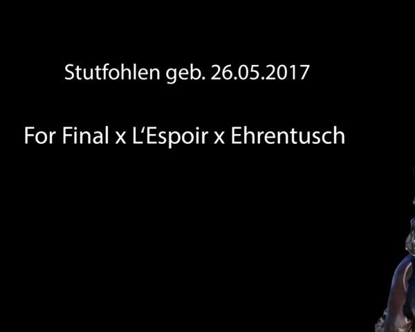 Fohlenpräsentation Hengststation Rüscher-Konermann 2017