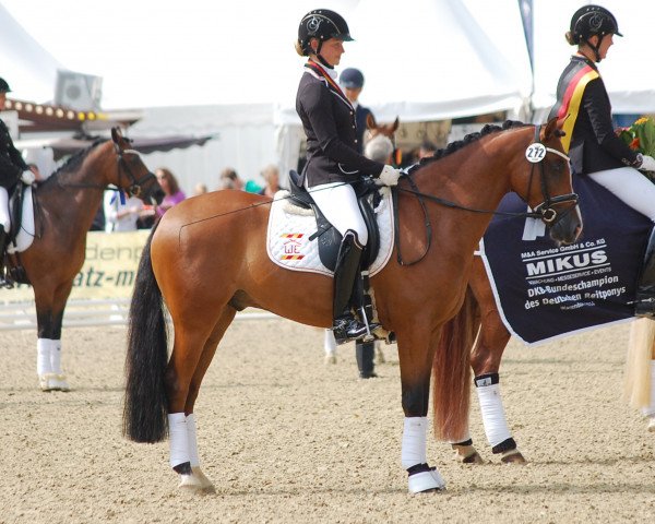 Dressurpferd Chocolatier Deluxe WE (Deutsches Reitpony, 2010, von Charivari)