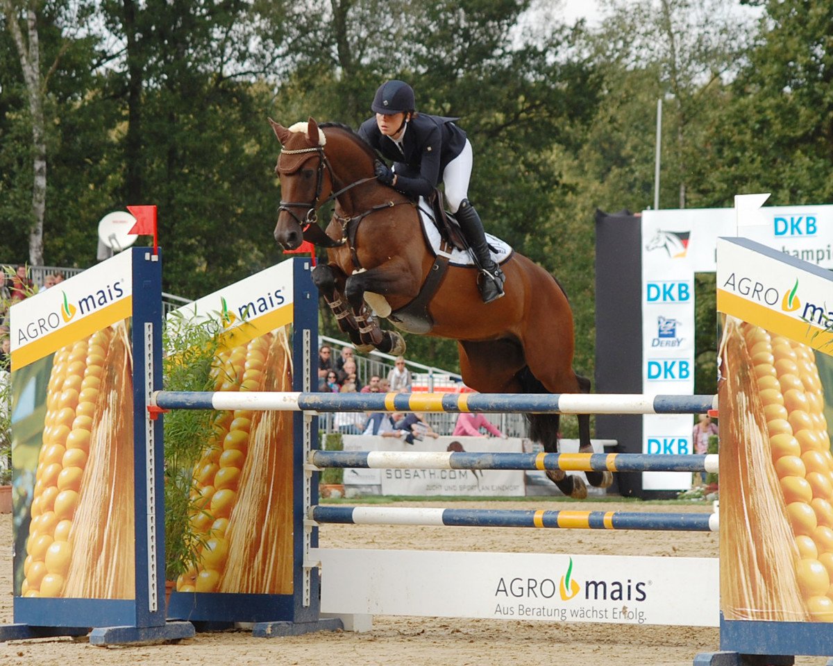broodmare Caramia La Hermosa (Holsteiner, 2009, from Calido I)