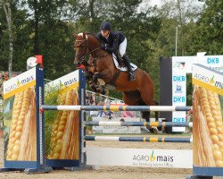 broodmare Caramia La Hermosa (Holsteiner, 2009, from Calido I)