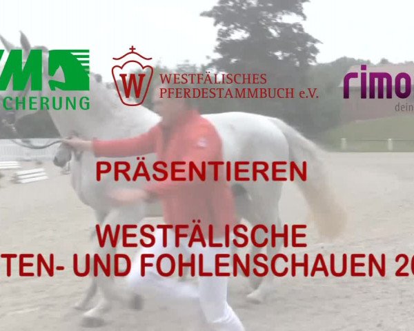 Stuten- und Fohlenschau Ostönnen 2017