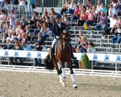 Deckhengst Rapace (Hannoveraner, 2011, von Blue Hors Romanov)