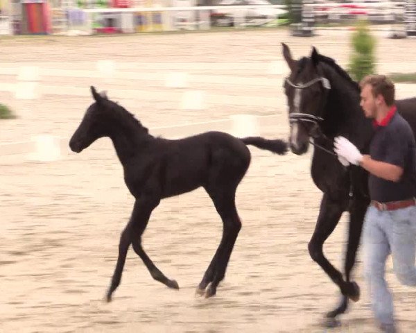 LVM Sichtung Melle Ostenfelde