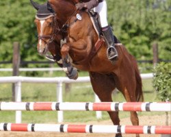 jumper Naomy 10 (Zweibrücken, 2006, from Nemo)