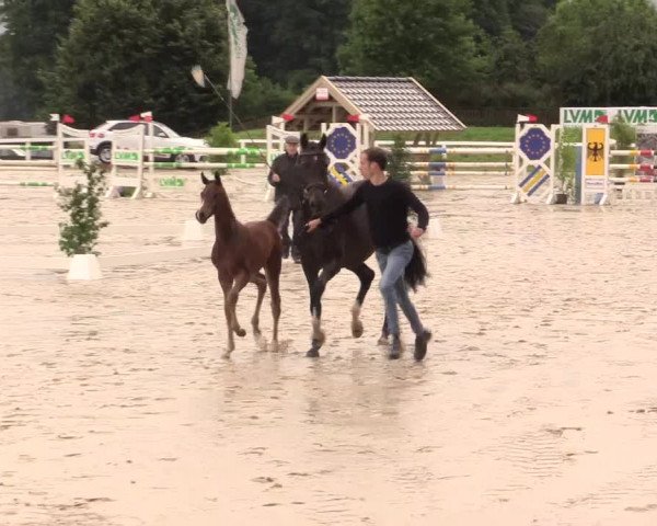 LVM Sichtung Melle Ostenfelde