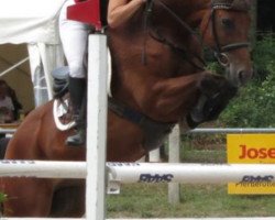 jumper Lucky Spirit (Zweibrücken, 2007, from Lucky Boy D)