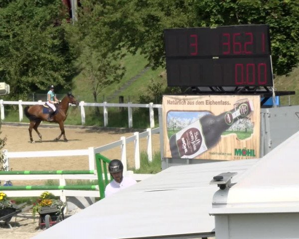 Pferdesporttage Rafzerfeld - Hüntwangen 2021