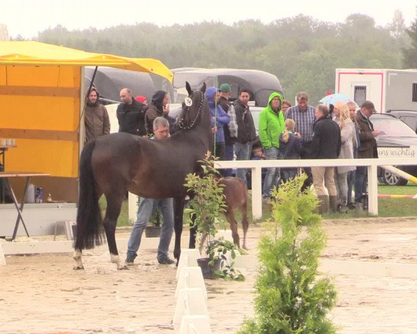 LVM Sichtung Melle Ostenfelde