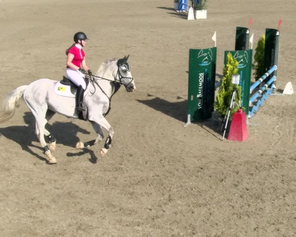 Pferdesporttage Rafzerfeld - Hüntwangen 2021