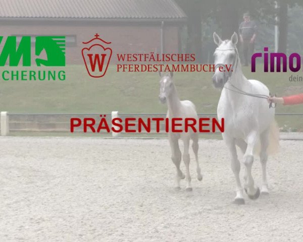Stuten- und Fohlenschau Olfen-Vinnum 2017