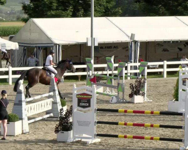 Pferdesporttage Rafzerfeld - Hüntwangen 2021