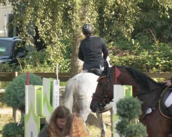 Springturnier und Reiterfest Königsbach 2021