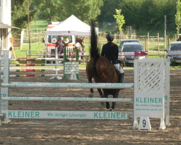 Springturnier und Reiterfest Königsbach 2021