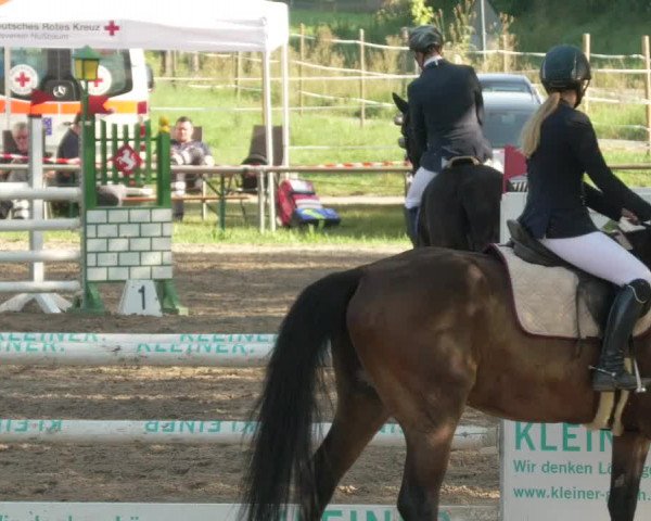 Springturnier und Reiterfest Königsbach 2021
