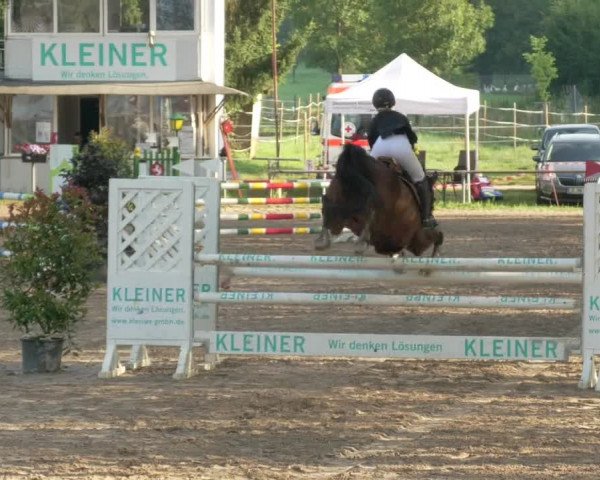 Springturnier und Reiterfest Königsbach 2021