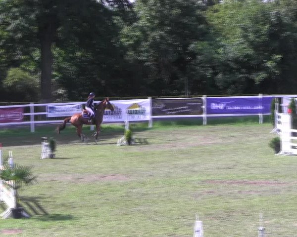 Reitturnier Müncheberg 2021