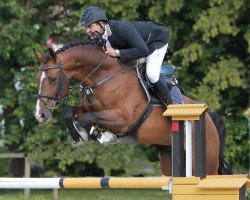 stallion Contados (Holsteiner, 2006, from Contender)