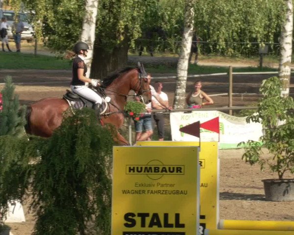 Springturnier und Reiterfest Königsbach 2021