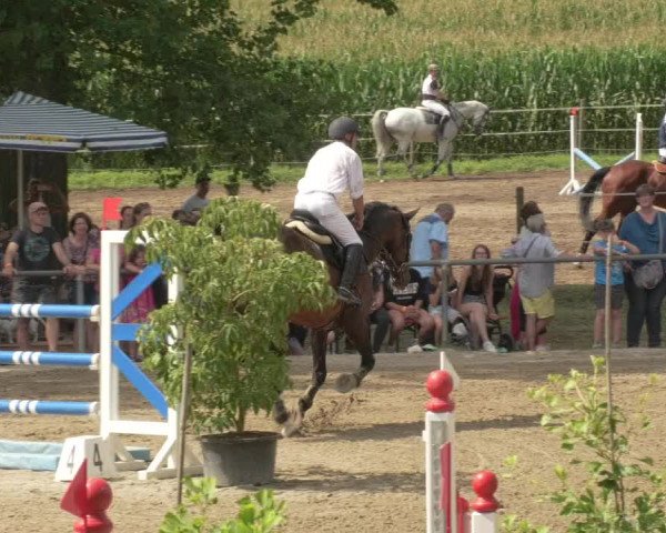 Springturnier und Reiterfest Königsbach 2021