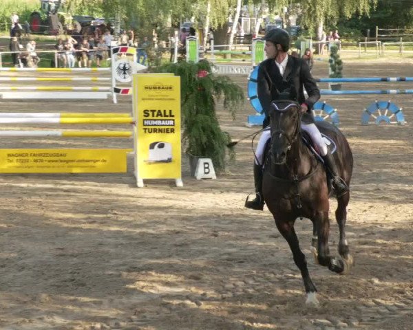 Springturnier und Reiterfest Königsbach 2021