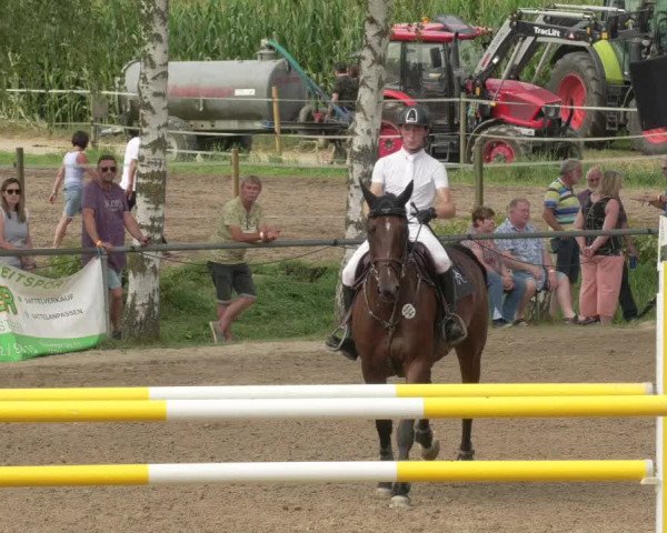 Springturnier und Reiterfest Königsbach 2021